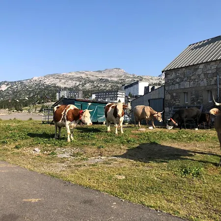 Lägenhet Pyrenees Coeur De Station Gr10 Randonnees